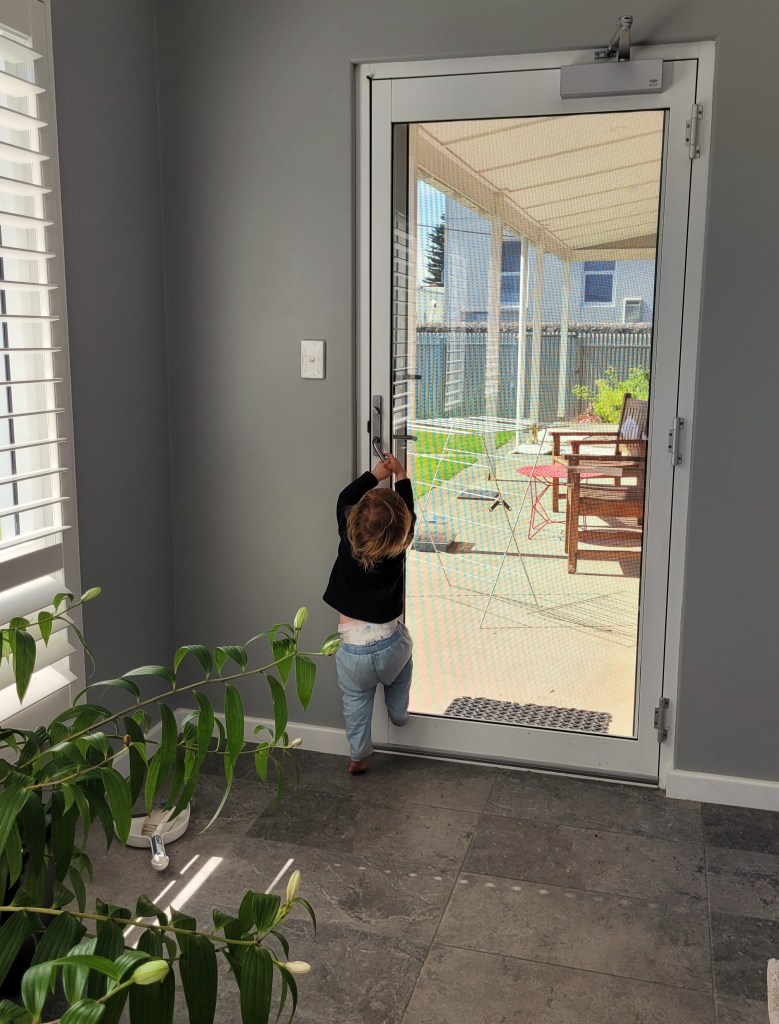 Monkey getting out of the door